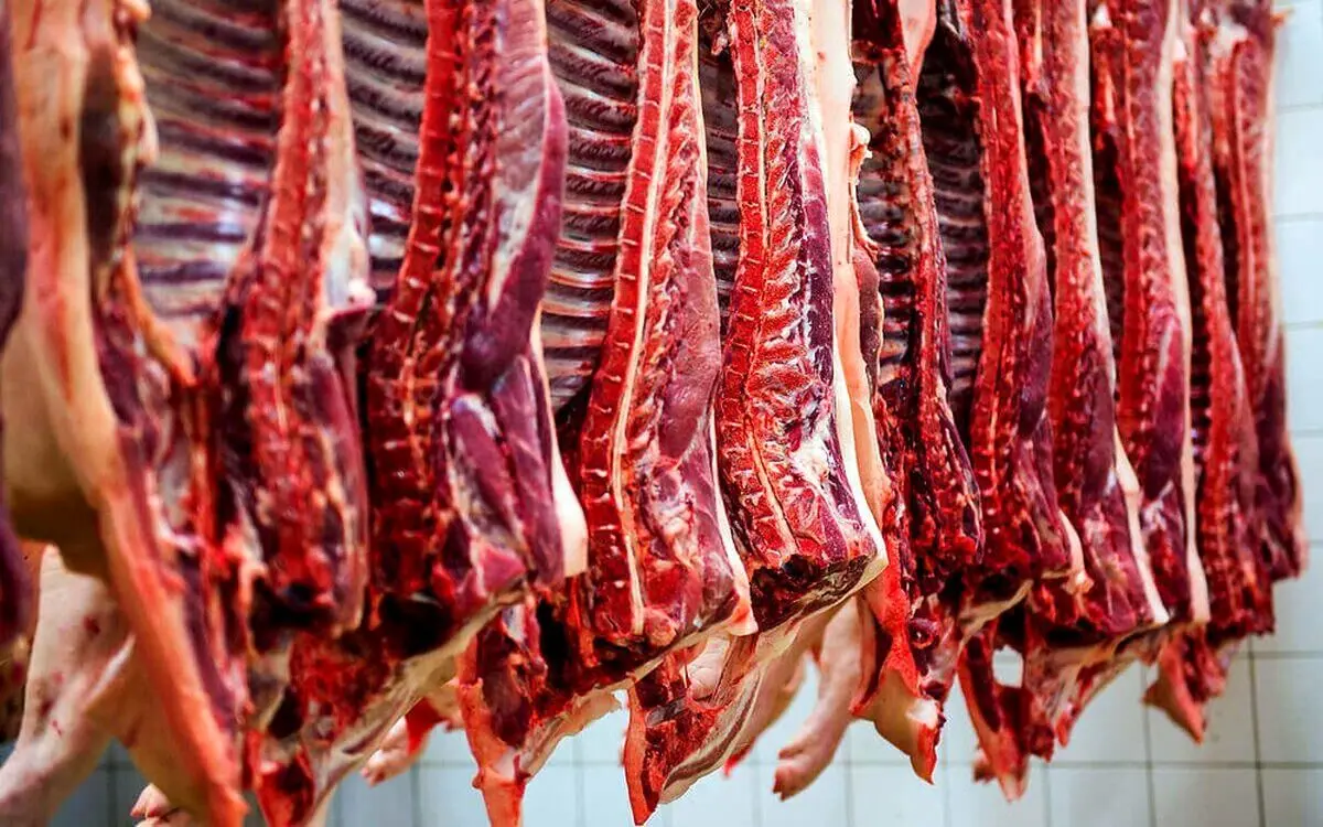قیمت گوشت هفته‌ای گران می‌شود!