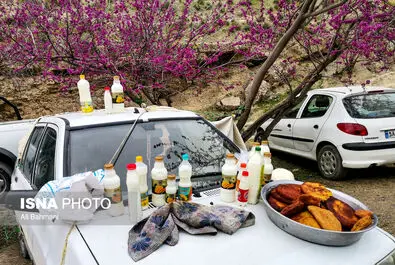 دره ارغوان