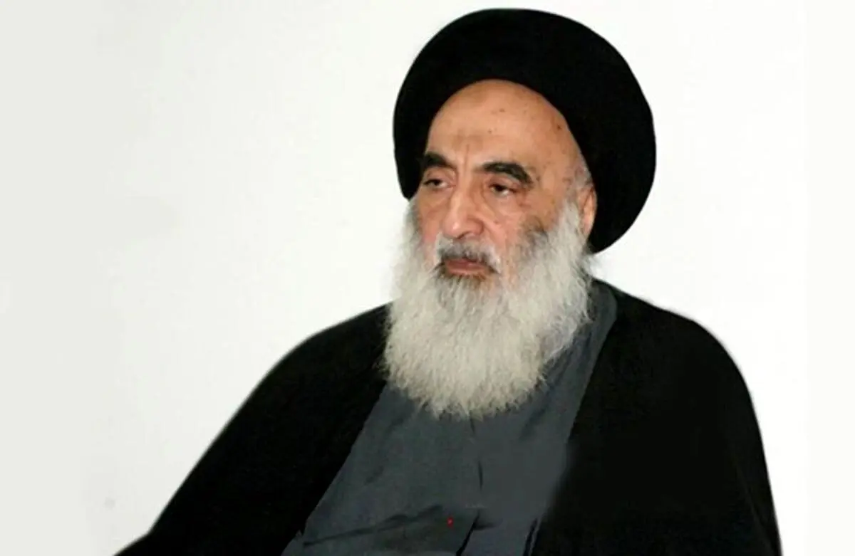 فتوای مهم آیت‌الله سیستانی درباره بازی همستر کامبت

