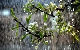 امواج رگبار به ایران می آیند