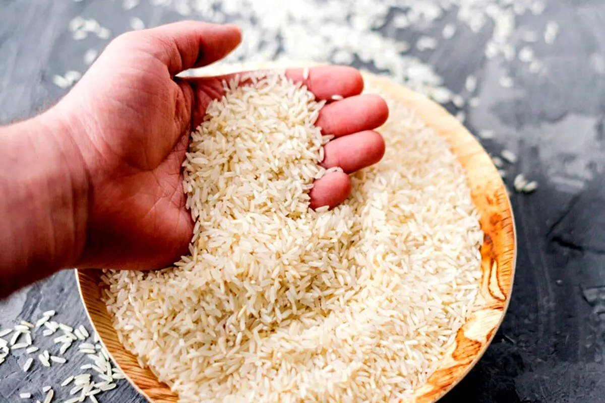 برنج هندی گران شد + جدول قیمت