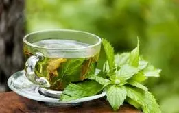 درمان التهاب معده با این داروی گیاهی