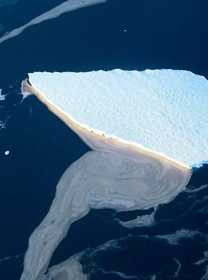 از آغاز ظهور انسان‌ تاکنون، چه تعداد انسان به دنیا آمده و روی کره زمین زیسته‌اند؟