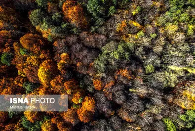 ایران زیباست؛ جایی میان پاییز و زمستان