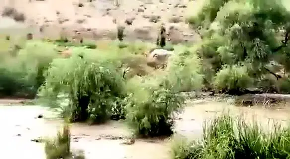 شهرداران تمام مناطق تهران در حالت آماده‌باش