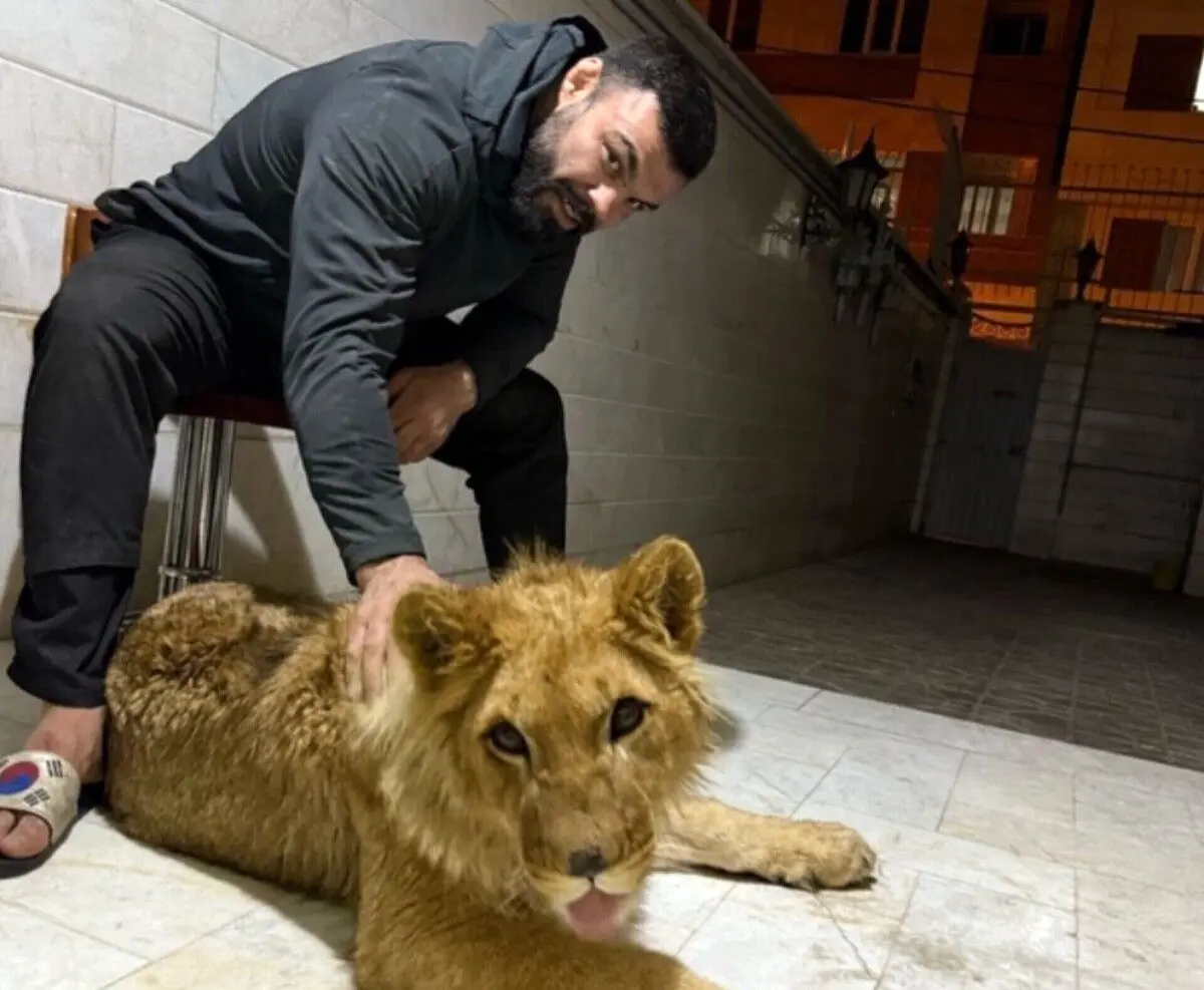 ماجرای نگه‌داری توله‌ شیر از زبان علی‌اکبری: دزدگیر خانه مادرم بود!