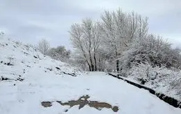 برف پاییزی زودتر از موعد از راه رسید