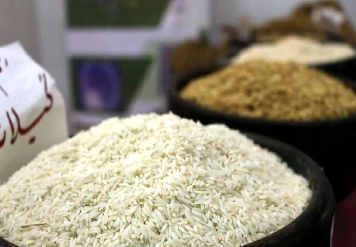 برنج ۵۶ هزار تومانی به بازار آمد