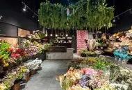 قیمت انواع گل برای روز مادر