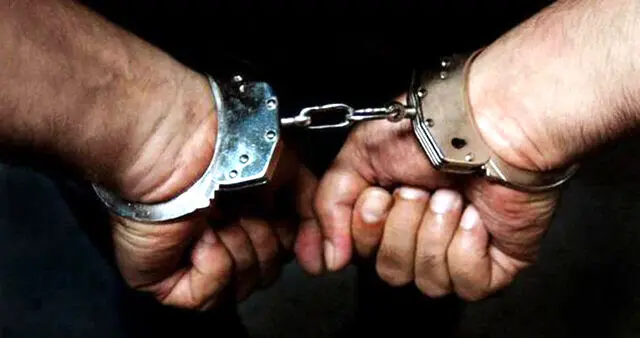 پلیس کلاهبردار ۶.۵ میلیون یورویی ارز دیجیتال را به کشور برگرداند

