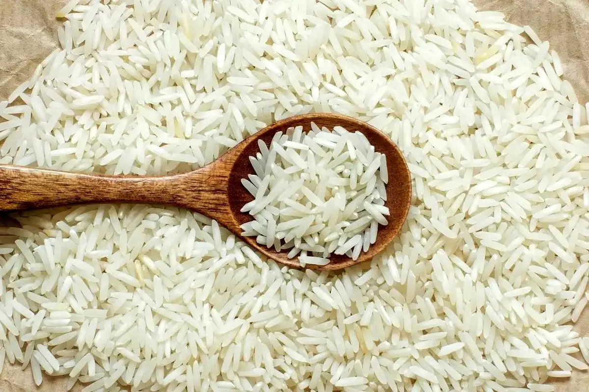 خبر مهم درباره قیمت برنج در هفته‌های آینده