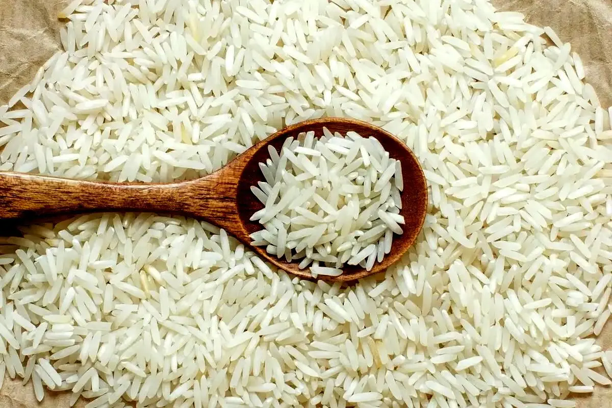 خبر مهم درباره قیمت برنج در هفته‌های آینده