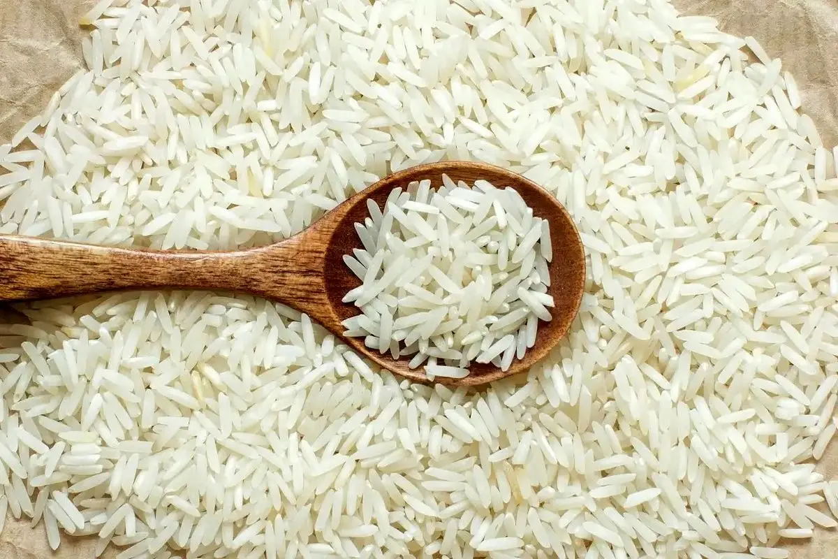 خبر مهم درباره قیمت برنج در هفته‌های آینده