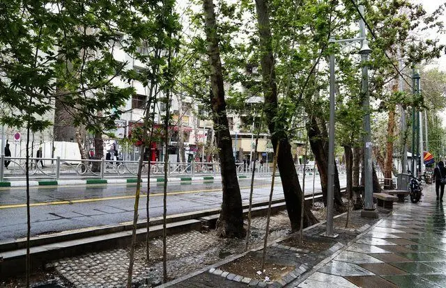 ماجرای آتش سوزی عمدی درختان در اصفهان
