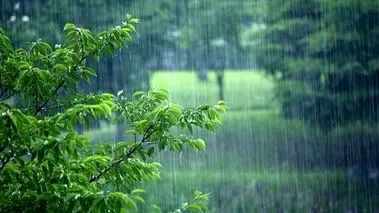 پاییز از راه رسید؛ این استان‌ها بارانی می‌شوند