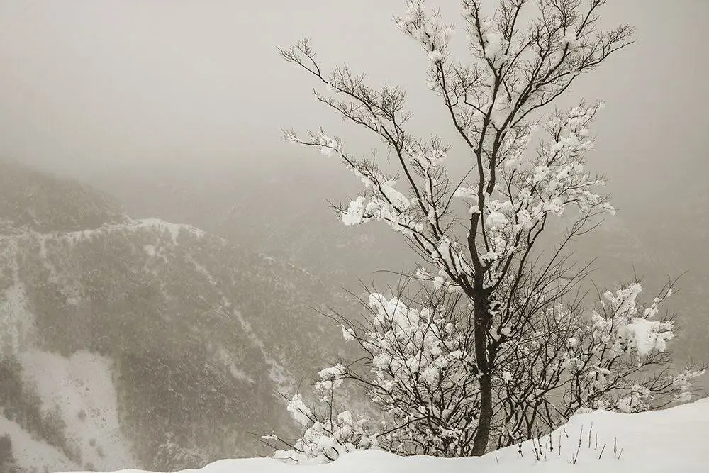 ماهواره‌های اروپایی: زمستان جهنمی و پرفشار از  این تاریخ در ایران وارد می شود