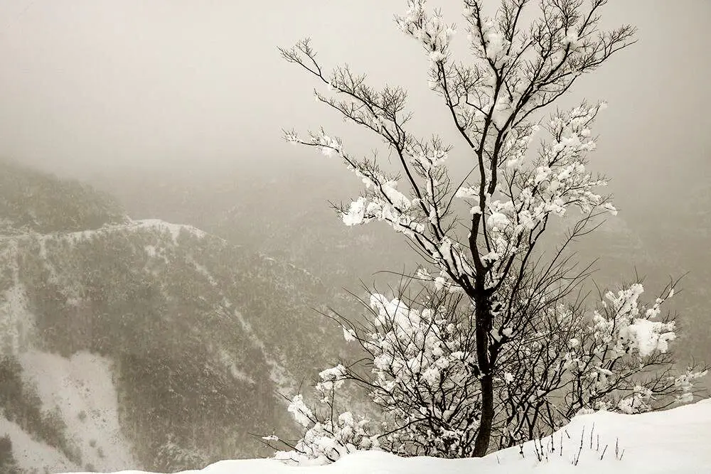 ماهواره‌های اروپایی: زمستان جهنمی و پرفشار از  این تاریخ در ایران وارد می شود