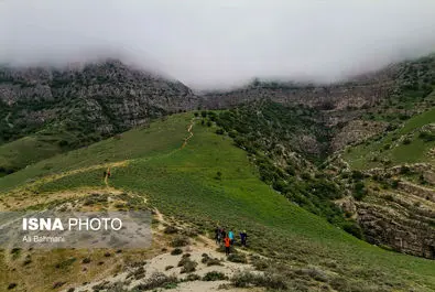 دره ارغوان