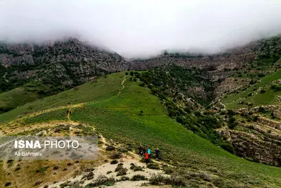دره ارغوان