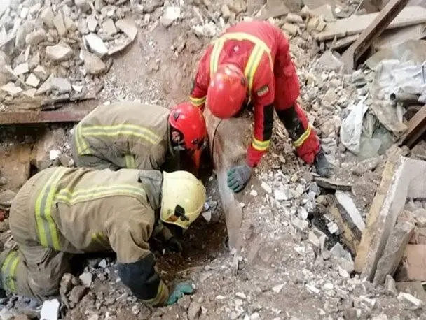 در اولین جلسه دادگاه متروپل چه گذشت؟/ بازداشت برادران عبدالباقی؟