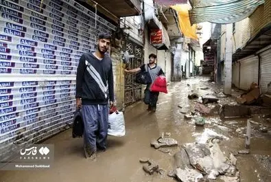 سیل در کن