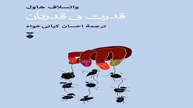 قدرت بی‌قدرتان