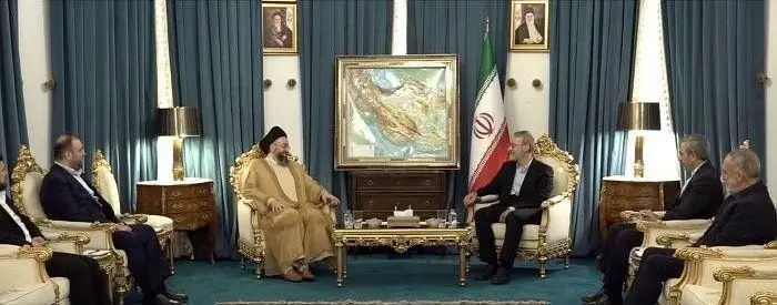رایزنی حکیم و لاریجانی در تهران + فیلم
