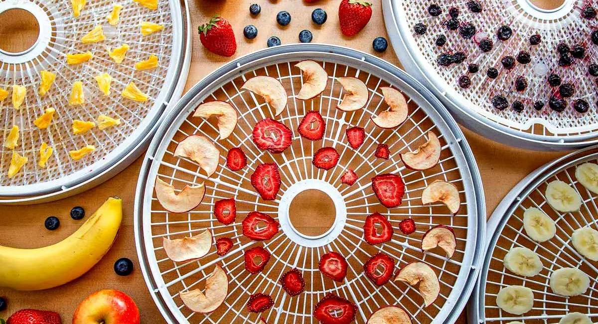 این مواد غذایی را برای لاغری بخورید