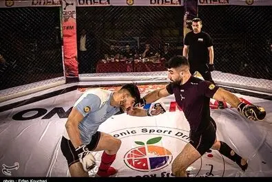 مسابقات رسمی MMA