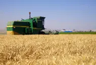 خبر مهم برای گندمکاران/ قیمت جدید گندم  تغییر می کند؟