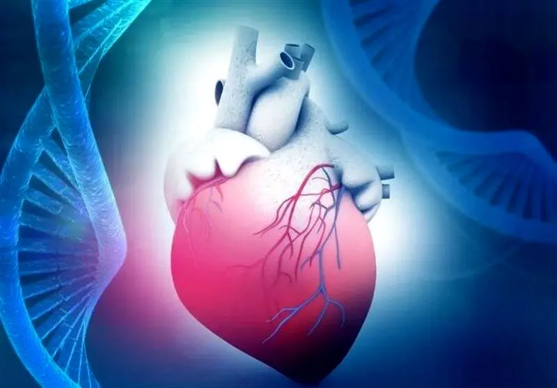 معجزه تخم مرغ برای حفظ سلامت قلب