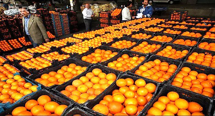 نارنگی و پرتقال کیلویی چند؟ + جدیدترین قیمت ها