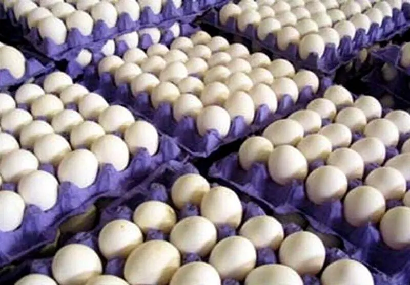 رشد مصرف تخم مرغ در پی گرانی گوشت و مرغ