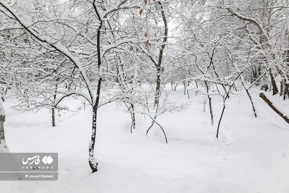 اسفند در ایران زمستان می‌شود ؛ آمریکایی ها پیش بینی کردند