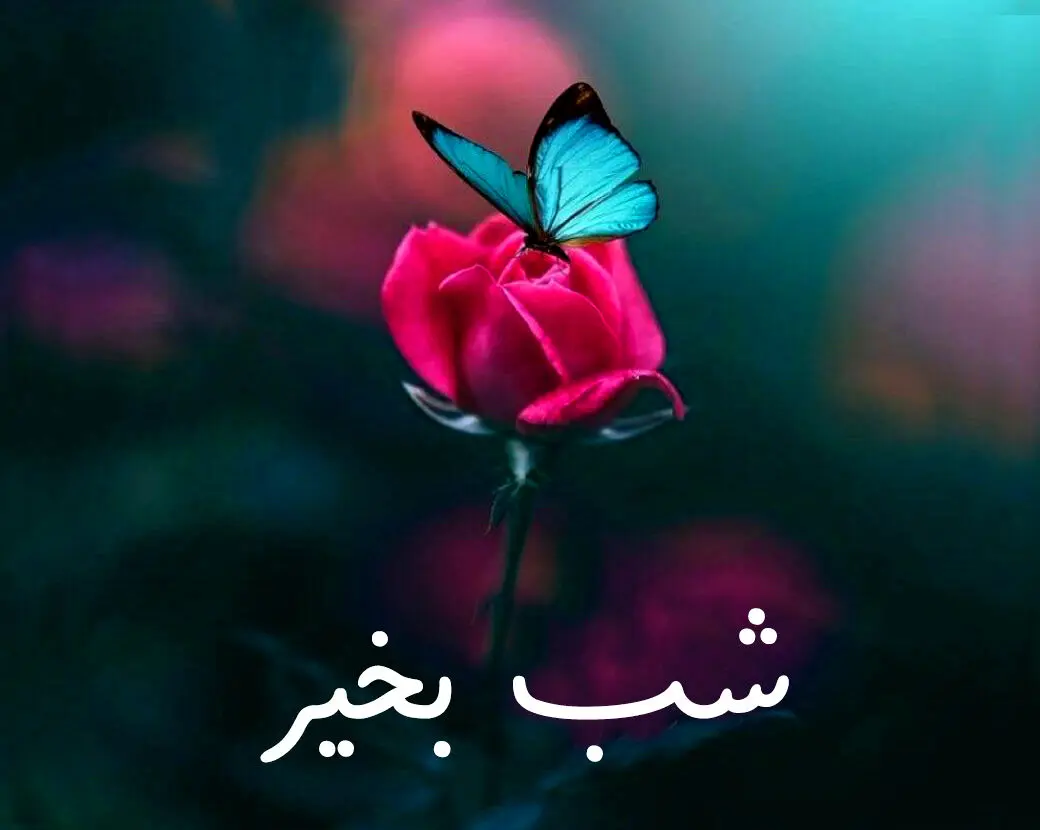 متن شب بخیر عاشقانه + پیامک صبح بخیر دلنشین برای همسر