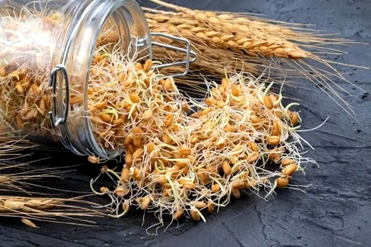 قیمت گندم نهایی شد