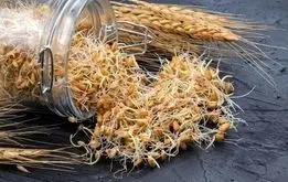 قیمت گندم نهایی شد