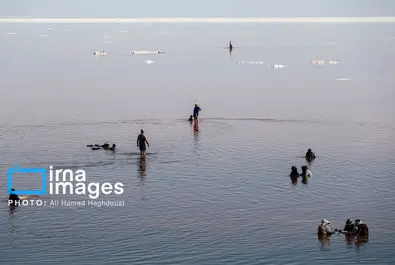 شنا کردن مردم در دریاچه بی‌جان ارومیه + عکس