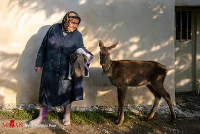 مرال در خانه