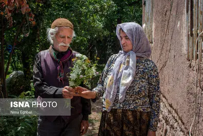 شغل میرآب