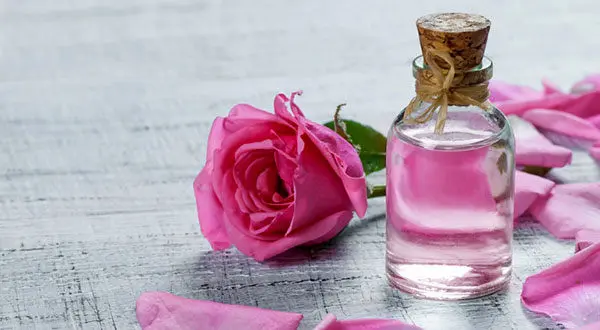 خبر مهم برای طرفداران طب سنتی| گلاب ضدعفونی نمی‌کند