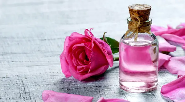خبر مهم برای طرفداران طب سنتی| گلاب ضدعفونی نمی‌کند