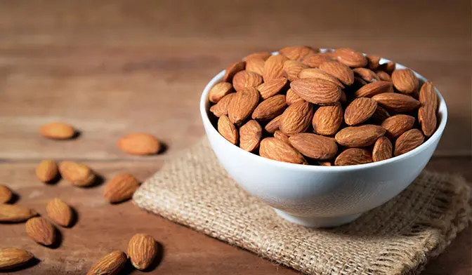 معجزه این ماده غذایی برای افزایش سلامت روده