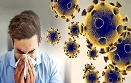  تعطیلی سراسری مدارس به‌خاطر یک ویروس جدی شد
