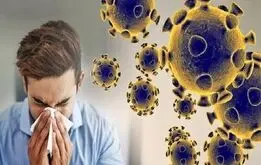  تعطیلی سراسری مدارس به‌خاطر یک ویروس جدی شد
