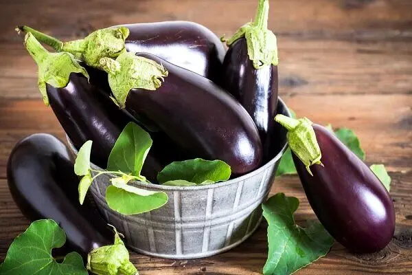 افزایش ۲۳۳ درصدی قیمت کنسرو بادمجان در دولت رئیسی! + عکس
