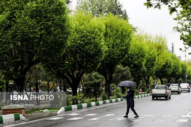 هوای سرد و یخبندان شبانه در تهران