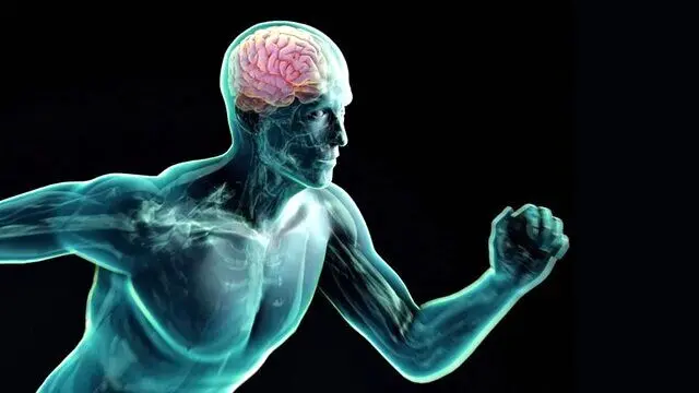 چرا ورزش‌کردن آی‌کیو را تقویت می‌کند؟

