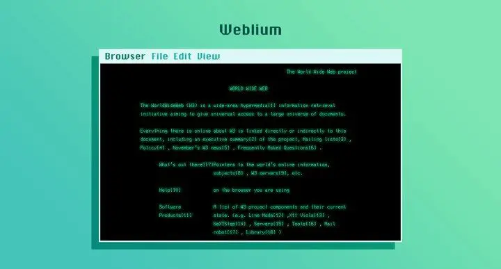 اولین وب سایت تاریخ را ببینید + عکس