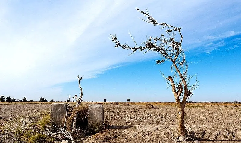 اقدام جدید طالبان برای محدودتر کردن سهمیه آب ایران